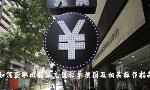 如何获取比特派充值订单截图及相关操作指南