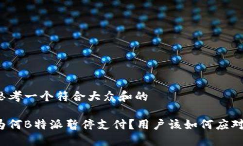 思考一个符合大众和的

为何B特派暂停支付？用户该如何应对？