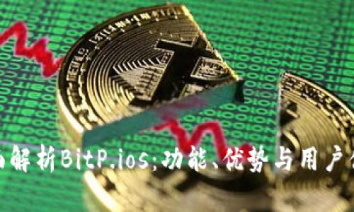 全面解析BitP.ios:功能、优势与用户体验