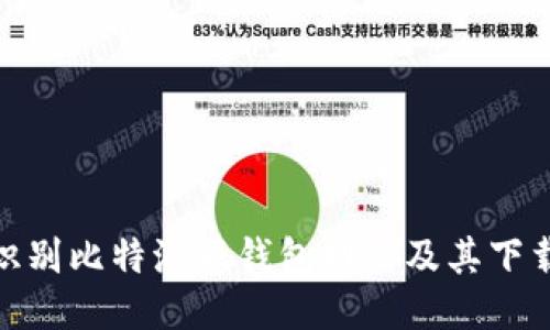 如何识别比特派假钱包网站及其下载风险