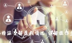 如何通过B特派了解盈利情况：详解操作步骤与策