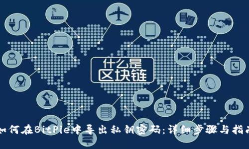 如何在BitPie中导出私钥密码:详细步骤与指南