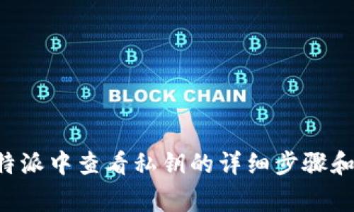 如何在B特派中查看私钥的详细步骤和注意事项