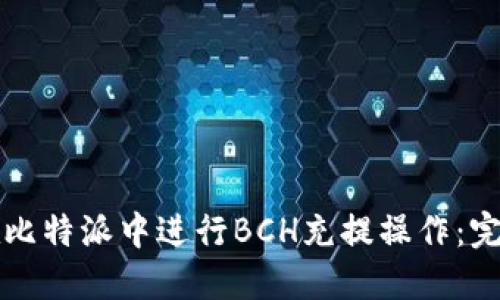 如何在比特派中进行BCH充提操作:完整指南