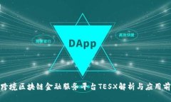 : 跨境区块链金融服务平台TESX解析与应用前景