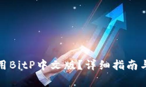 如何下载和使用BitP中文版?详细指南与常见问题解答