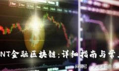 如何下载RNT金融区块链：详细指南与常见问题解