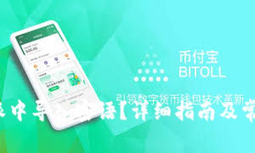 如何在b特派中导入密语?详细指南及常见问题解答