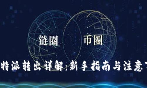  比特派转出详解：新手指南与注意事项