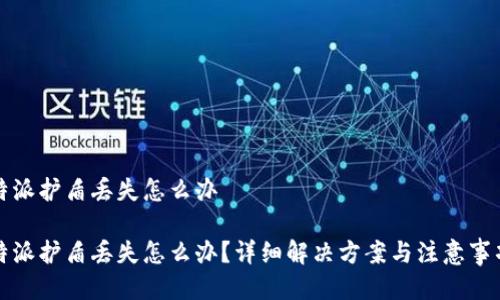 特派护盾丢失怎么办

特派护盾丢失怎么办？详细解决方案与注意事项