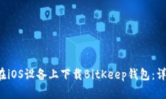  如何在iOS设备上下载BitKeep钱包：详细指南