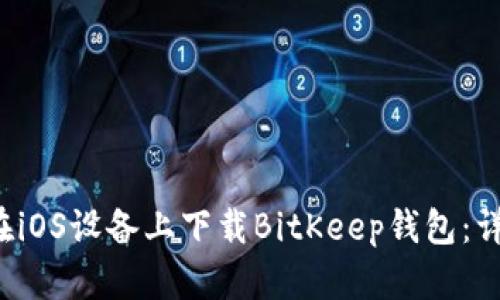  如何在iOS设备上下载BitKeep钱包：详细指南