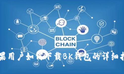 苹果用户如何下载BK钱包的详细指南