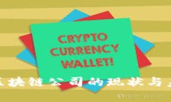 : 金融区块链公司的现状与未来发展
