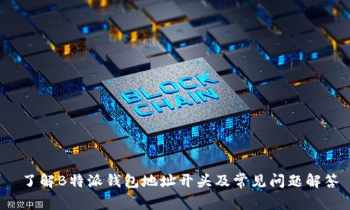  了解B特派钱包地址开头及常见问题解答