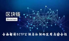 全面解析BITP公钥与私钥的使用与安全性