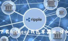 如何下载BitKeep钱包苹果版：详细指南