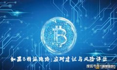 如果B特派跑路：应对建议与风险评估