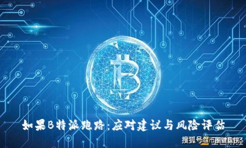 如果B特派跑路：应对建议与风险评估