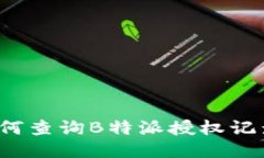如何查询B特派授权记录？