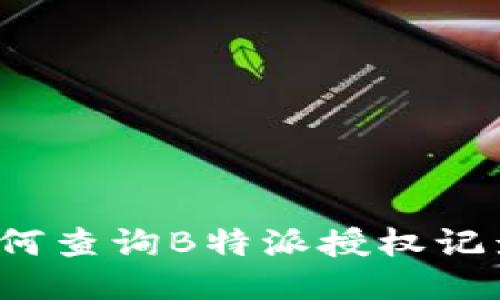 如何查询B特派授权记录?