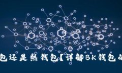 BK钱包是冷钱包还是热钱包？详解BK钱包的类型及