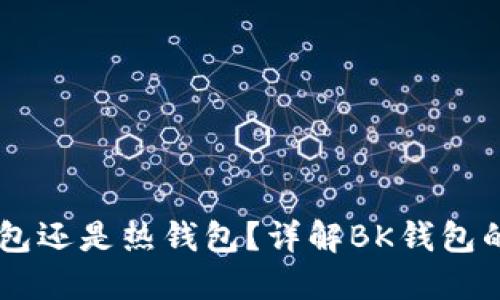 BK钱包是冷钱包还是热钱包?详解BK钱包的类型及安全性