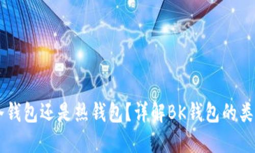 BK钱包是冷钱包还是热钱包?详解BK钱包的类型及安全性