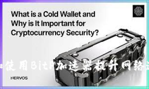 如何选择和使用BitP加速器提升网络速度和体验