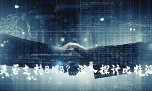 比特派钱包是否支持BNB? 深入探讨比特派的多种功能