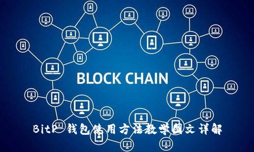 BitP 钱包使用方法教学图文详解