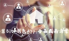 如何下载安装BitP钱包App：全面指南与常见问题解