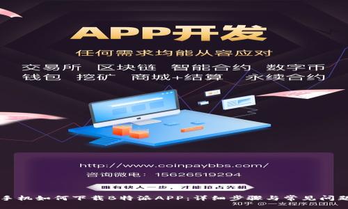 苹果手机如何下载B特派APP：详细步骤与常见问题解答