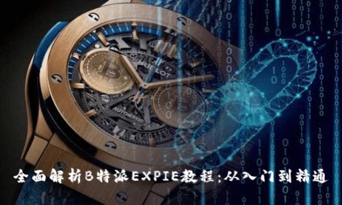 全面解析B特派EXPIE教程:从入门到精通