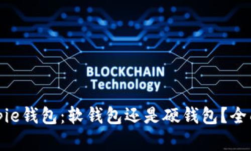 : Bitpie钱包:软钱包还是硬钱包?全面解析