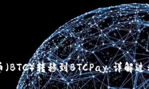 如何将比特币（BTC）转移到BTCPay：详解过程与注意事项