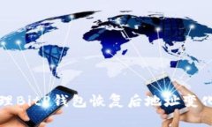 如何处理BitP钱包恢复后地址变化的问题