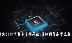 如何解决BITP下载不了的问题：详细指导和常见解