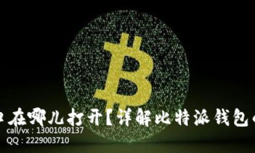 比特派钱包官方入口在哪儿打开？详解比特派钱包的使用方法与安全性