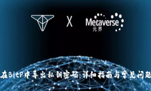 如何在BitP中导出私钥密码:详细指南与常见问题解答