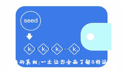 揭开B特派价格的真相：一文让你全面了解B特派的费用与价值