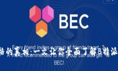 揭开B特派价格的真相：一文让你全面了解B特派的