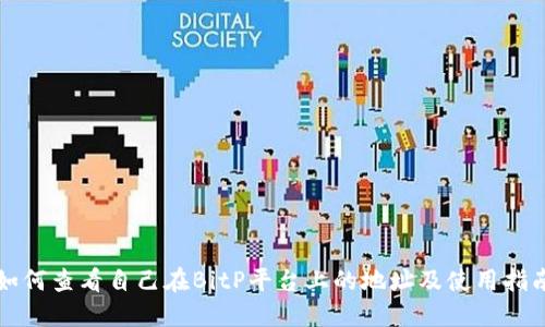 如何查看自己在BitP平台上的地址及使用指南