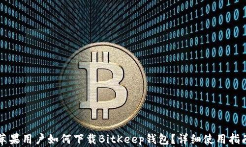 
苹果用户如何下载BitKeep钱包？详细使用指南
