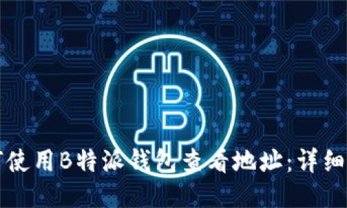 如何使用B特派钱包查看地址:详细指南