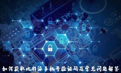 
如何获取比特派手机号验证码及常见问题解答