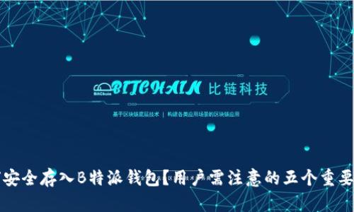如何安全存入B特派钱包？用户需注意的五个重要要点