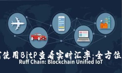 如何使用BitP查看实时汇率：全方位指南