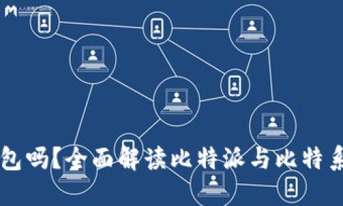 比特派是比特系钱包吗？全面解读比特派与比特系钱包的区别与联系