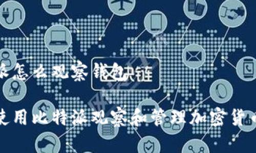比特派怎么观察钱包
如何使用比特派观察和管理加密货币钱包